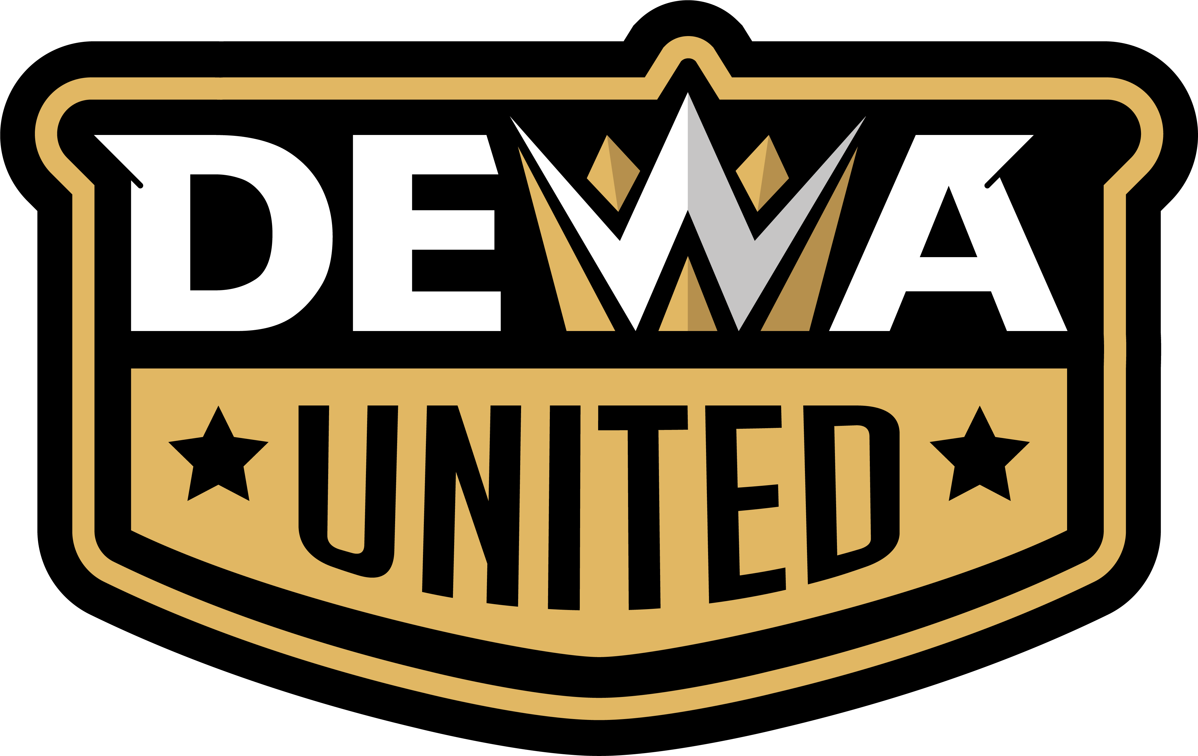 Dewa United Official Website